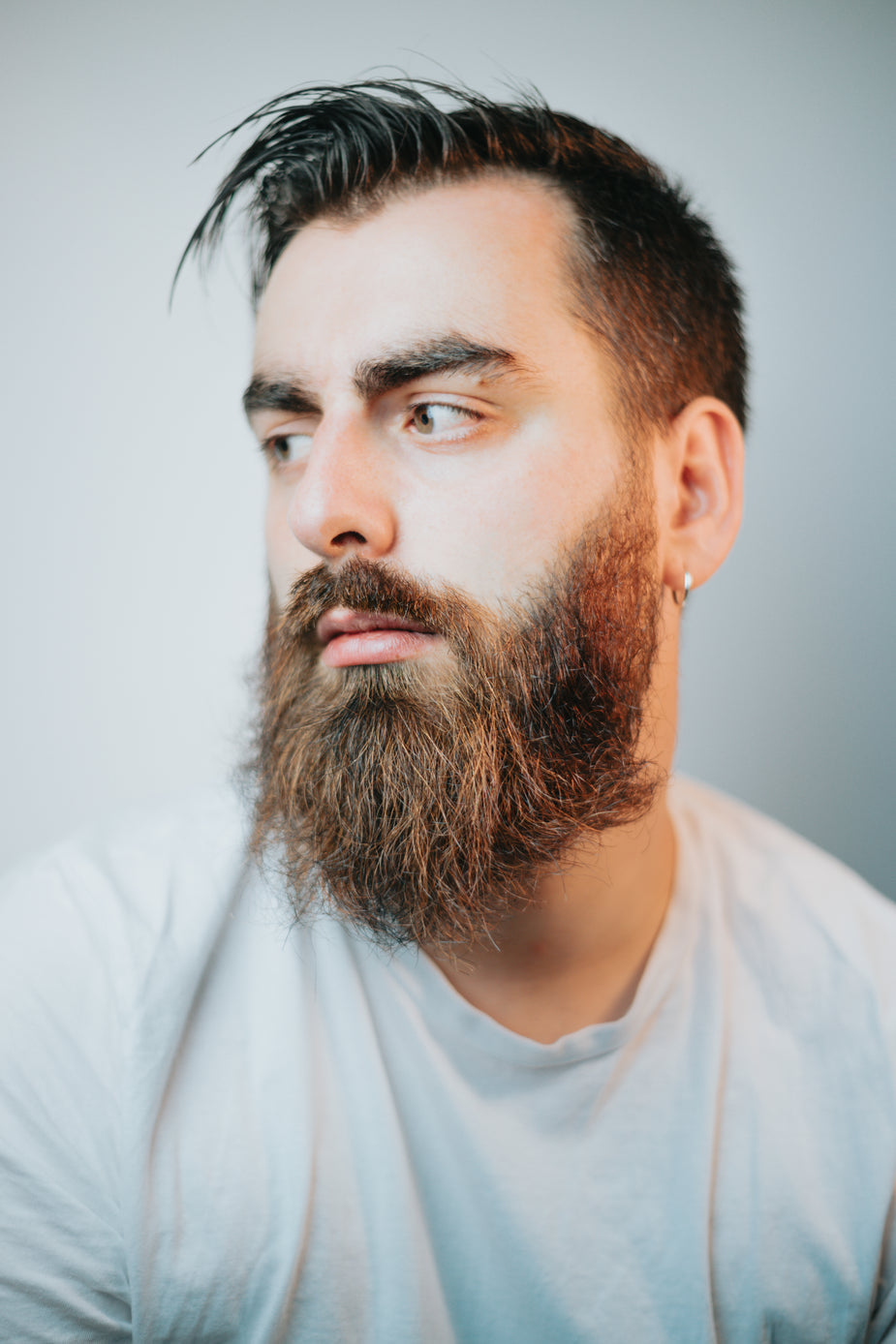 <strong> ~ Diego T.</strong>